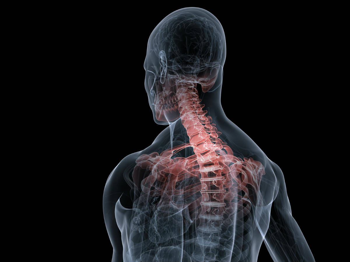 spine injury lawyer