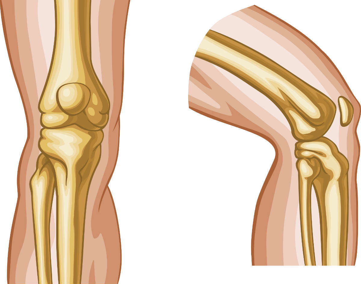 connective tissue injuries attorney